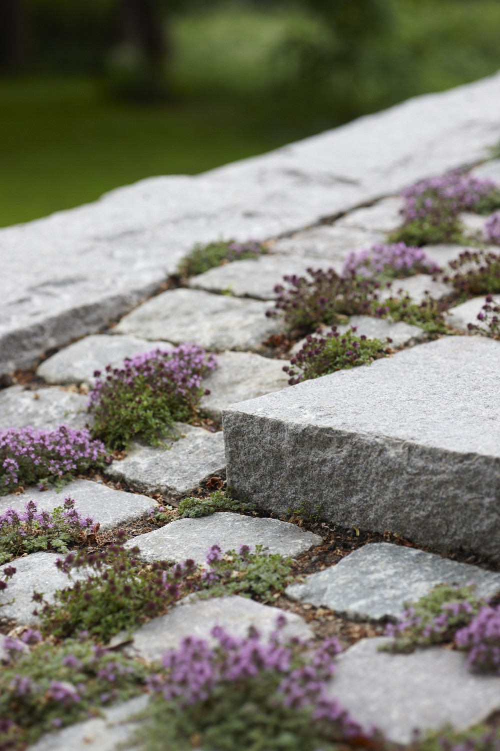 Blocksteg & Storgatsten